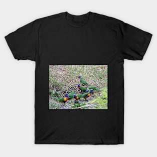 A Flock of Rainbows T-Shirt